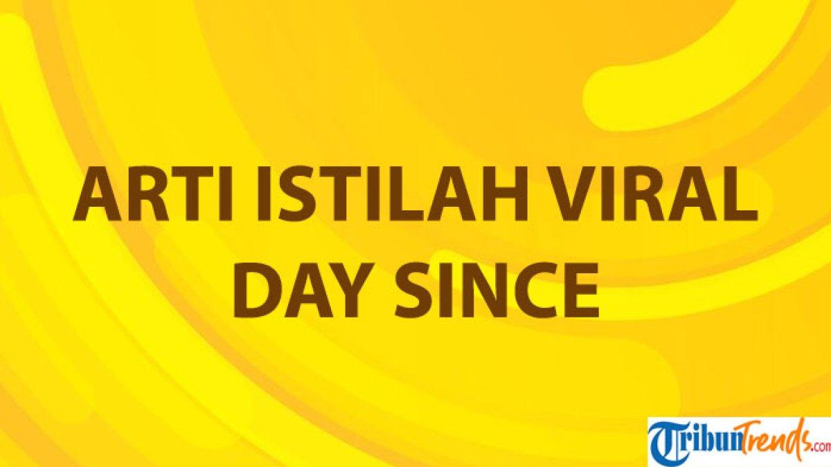 Arti istilah viral Day Since