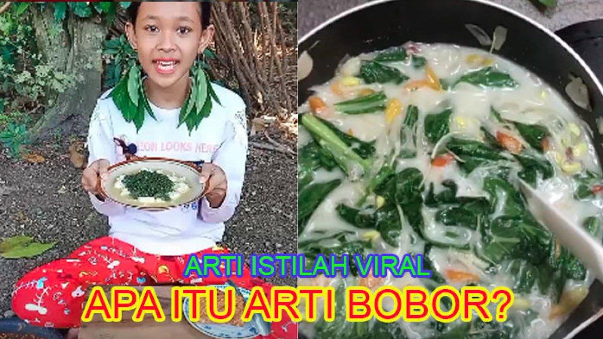 Arti kata bobor istilah viral TikTok