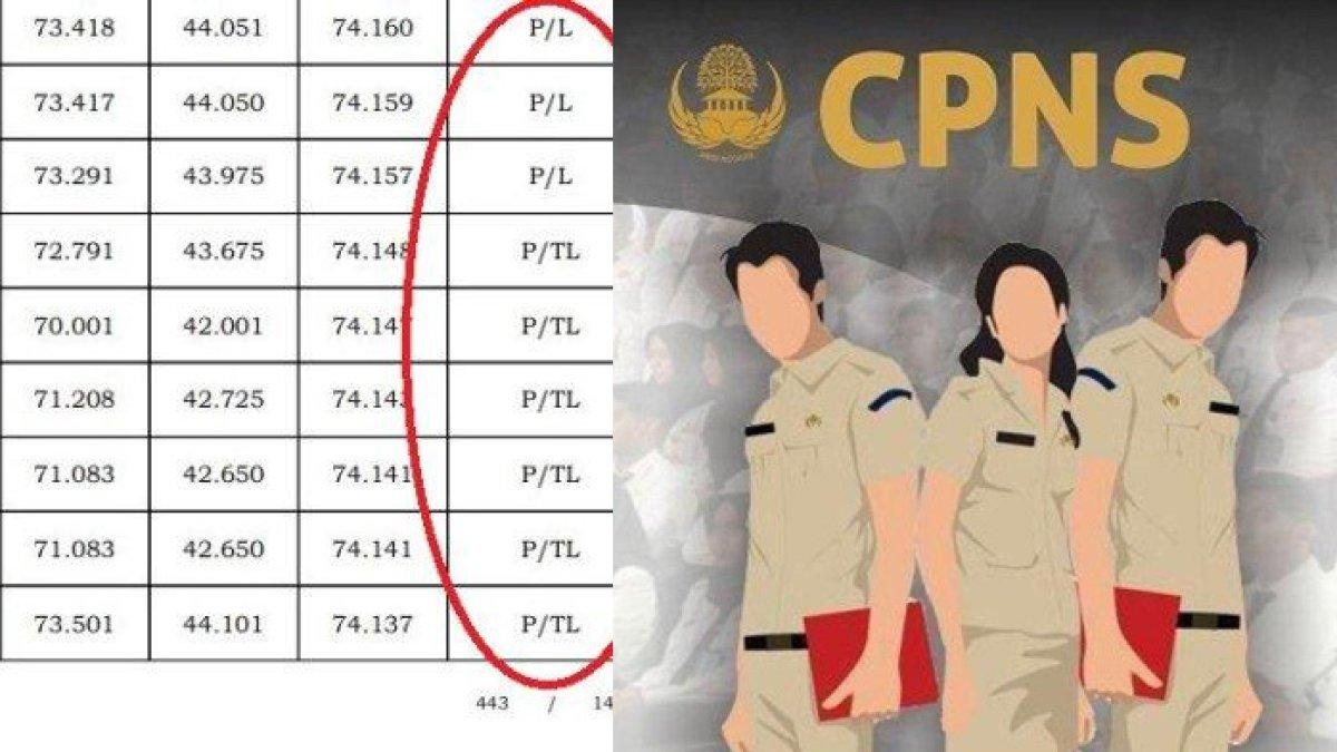 Arti kode di pengumuman seleksi CPNS 2024
