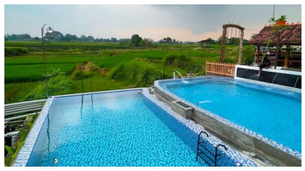 BEBEK MENEL KLATEN: Resto dengan Kolam Renang View Sawah