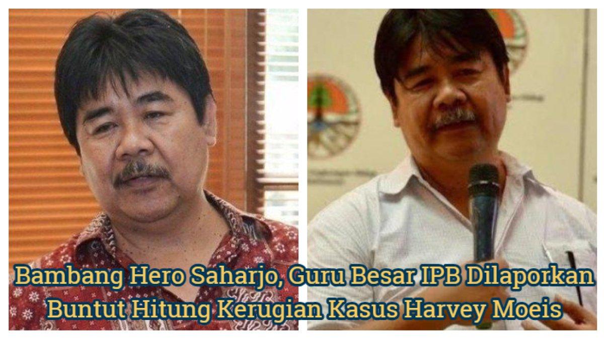 Bambang Hero Saharjo, guru besar IPB dilaporkan buntut hitung kerugian kasus Harvey Moeis