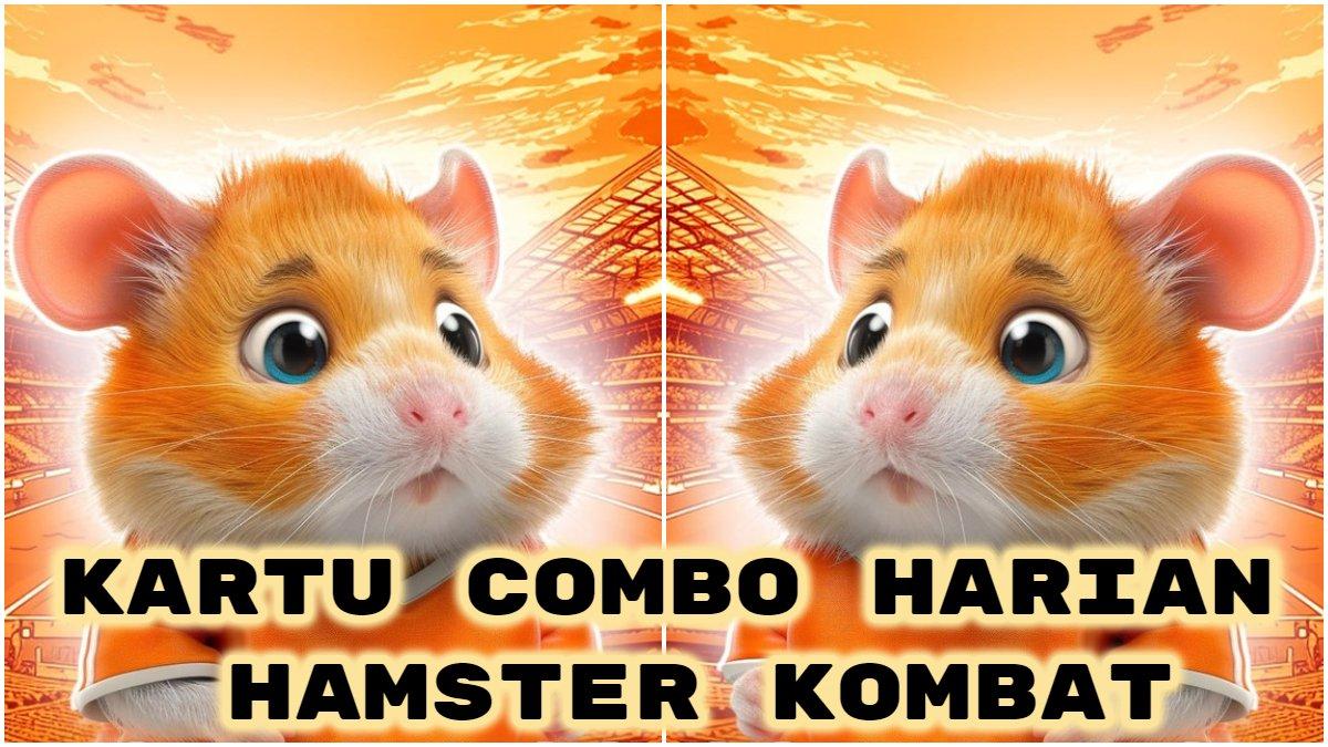 Berikut kartu combo harian Hamster Kombat hari ini, minggu 14 Juli 2024, klaim jutaan koin di sini!