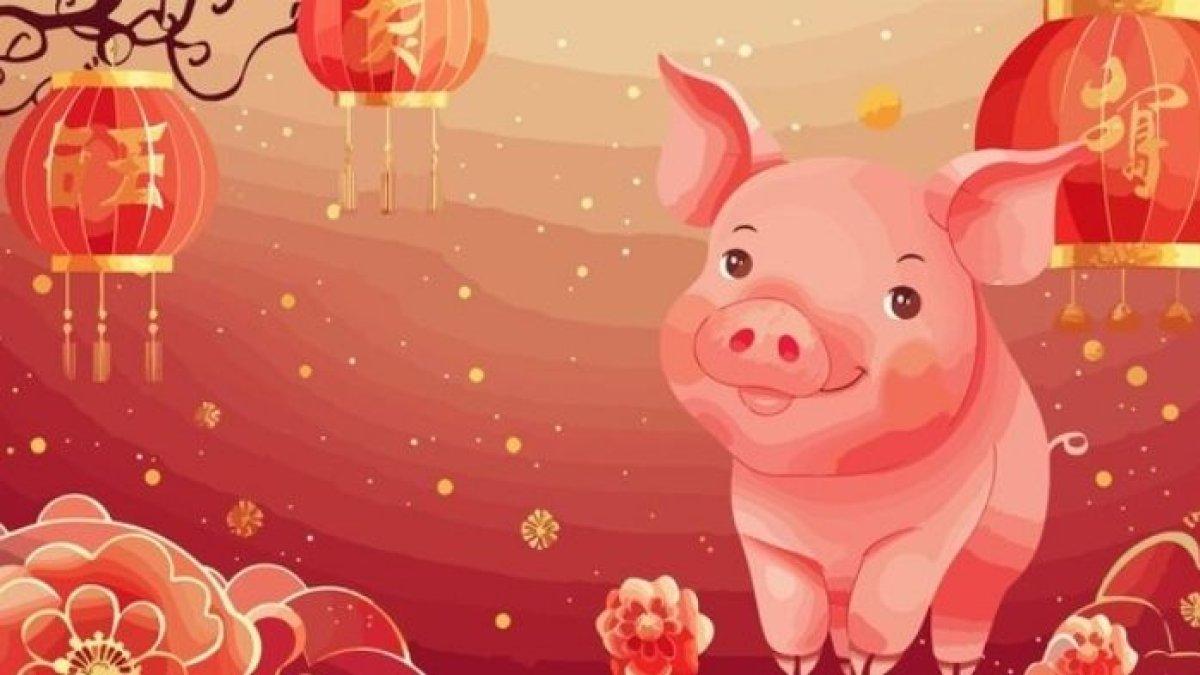 RAMALAN SHIO BESOK - Ilustrasi shio Babi. Berikut ramalan shio Babi Selasa 25 Maret 2025.