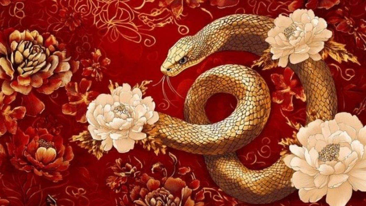RAMALAN SHIO BESOK - Ilustrasi shio Ular. Berikut ramalan shio Ular Selasa 25 Maret 2025.