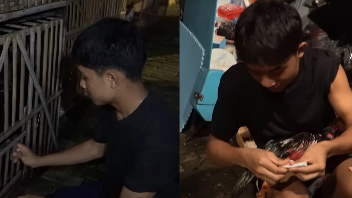 Betrand Peto hobi pelihara ayam