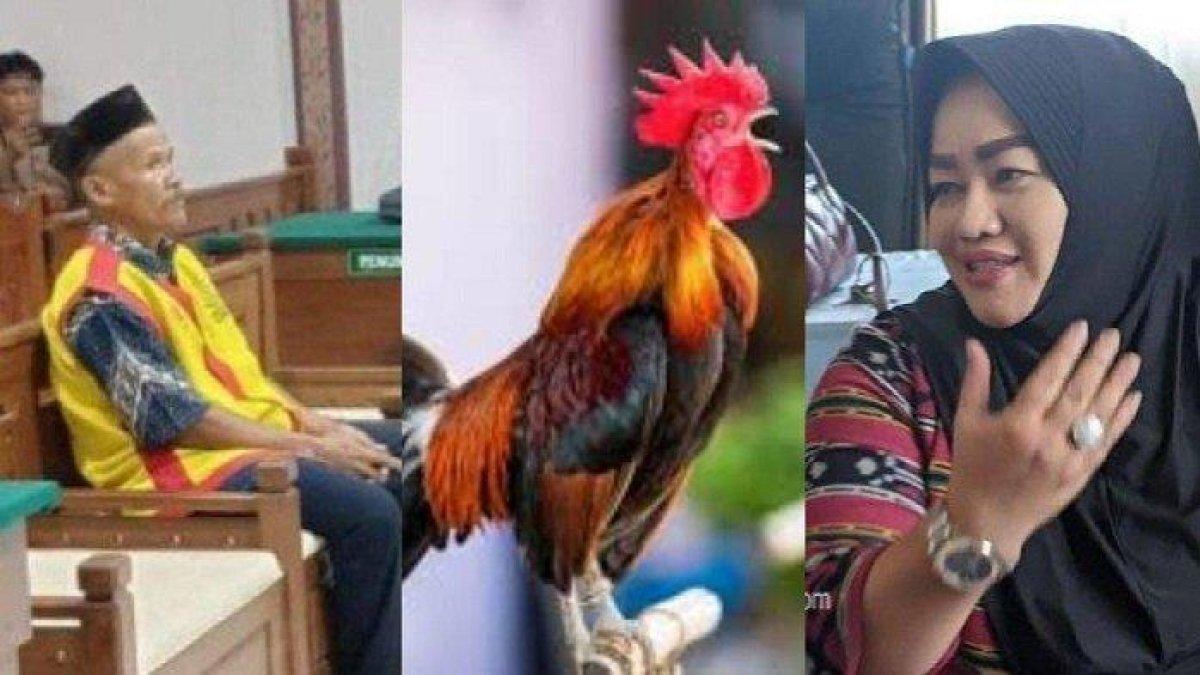 Bu Kades di Bojonegoro polisikan warganya gegara curi ayam yang dibelinya dari dukun seharga Rp4,5 juta dan puasa 40 hari