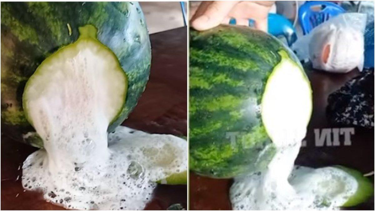 Buah semangka bewarna putih dan mengeluarkan busa.j