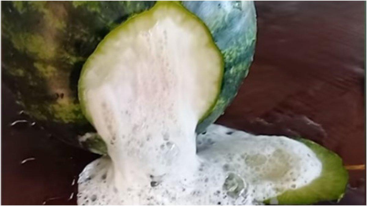 Buah semangka bewarna putih, mengeluarkan busa.