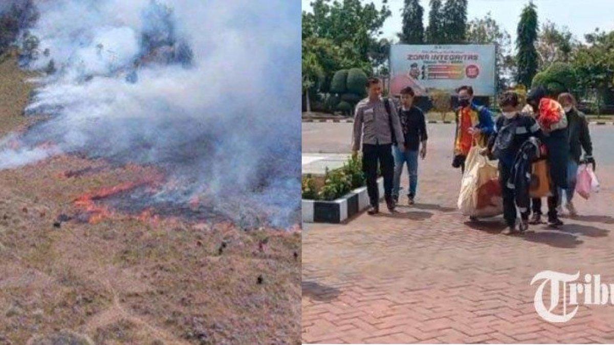 Bukit Teletubbies di kawasan di Gunung Bromo yang kebakaran diduga dipicu oleh sejoli dan kru lakukan pemotretan prewedding