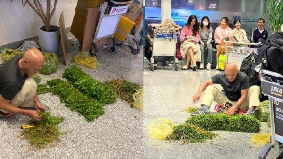 Bule membersihkan kangkung di salah satu bandara di Vietnam.