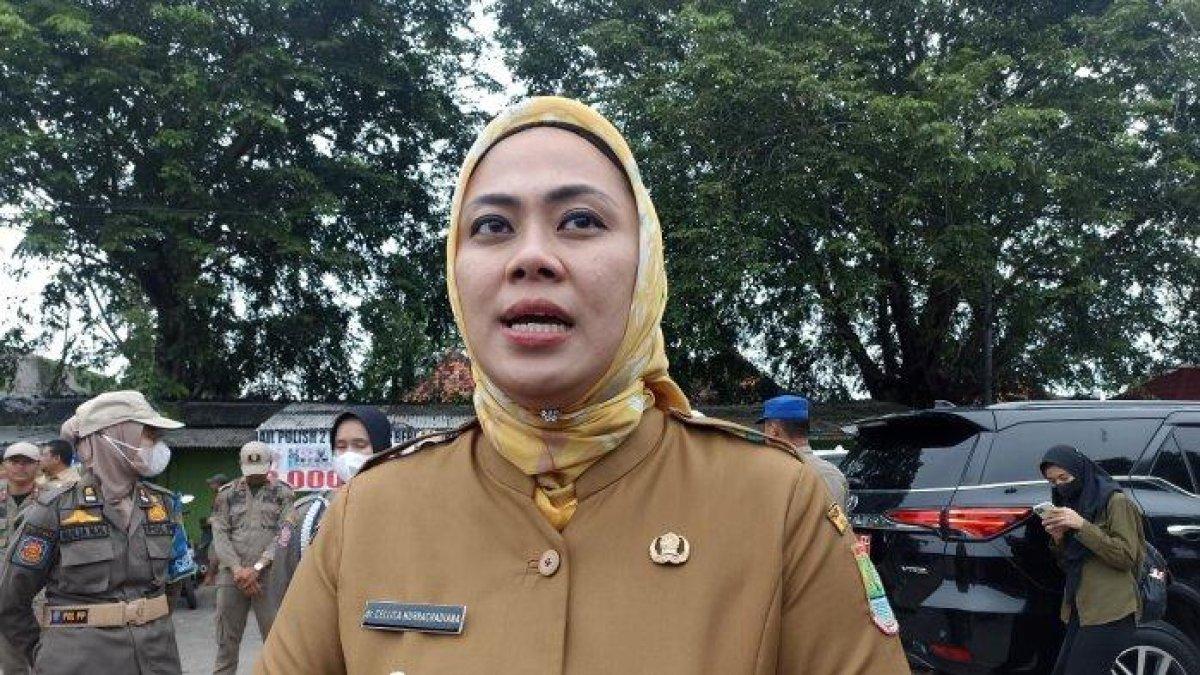 Bupati Karawang Cellica Nurrachadiana