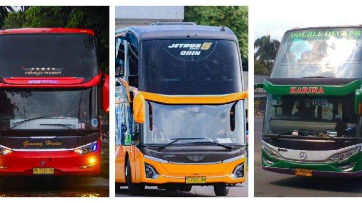 Bus AKAP
