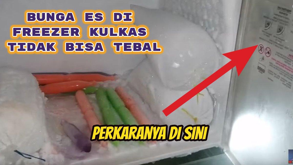 Begini cara agar bunga es di freezer kulkas satu pintu tidak tebal, sehingga otomatis hemat listrik juga dingin merata.