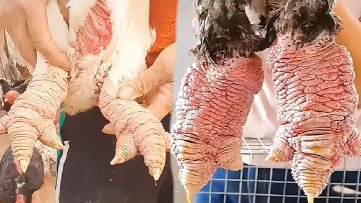 Ceker ayam Dong Taou