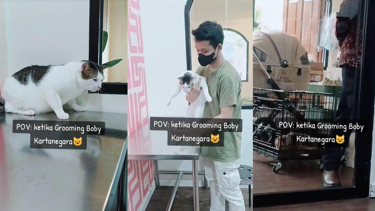 Cerita pegawai salon hewan melakukan perawatan tubuh terhadap Bobby Kertanegara kucing Prabowo