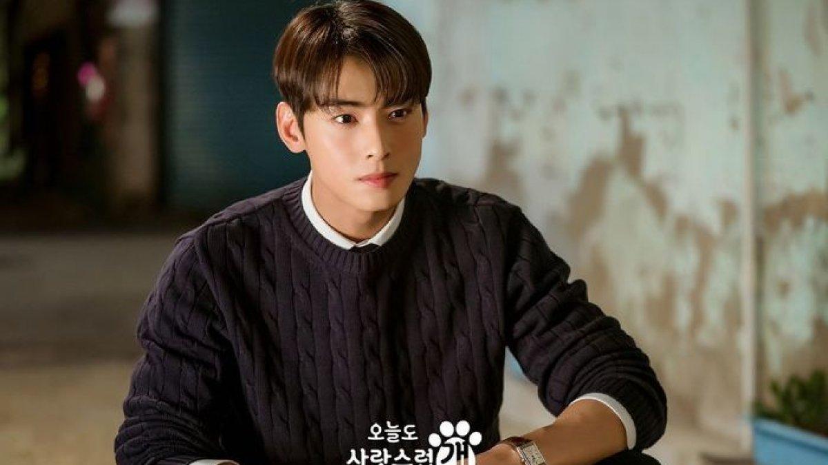 Cha Eunwoo dalam drama Korea A Good Day to Be a Dog