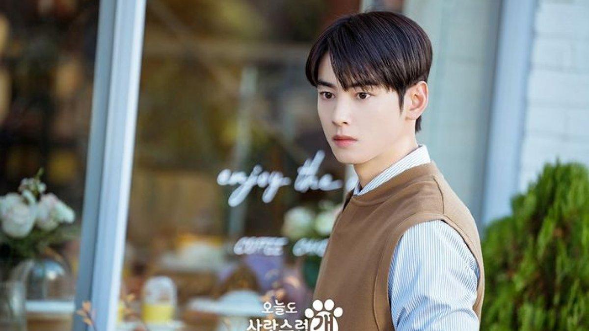 Cha Eunwoo di drama Korea A Good Day to Be a Dog