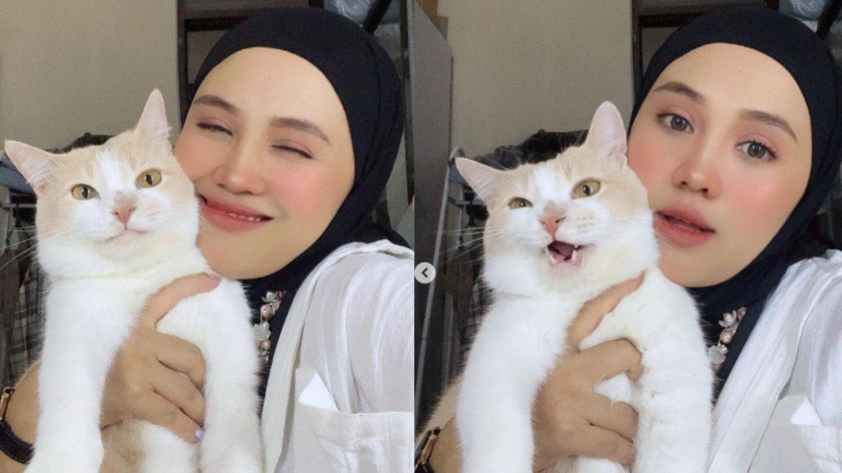 Cici Chania dan kucing Pororo