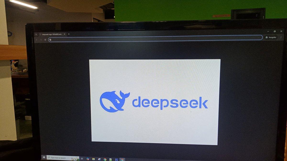 DEEPSEEK
