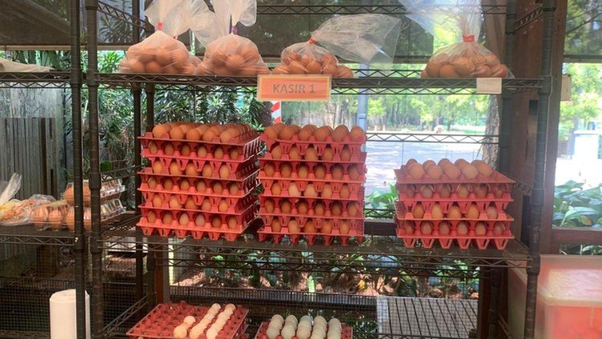 BELANJA OLEH-OLEH LEBARAN 2025: