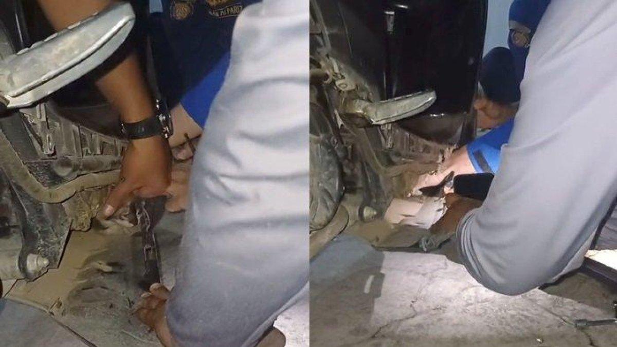 KUCING TERJEBAK -- Petugas pemadam kebakaran Pos Alang-alang Lebar mengevakuasi seekor anak kucing yang terjebak di bak mesin motor milik seorang warga di Komplek Perumahan Pondok Palem Indah, Blok E3 Nomor 4, Kelurahan Talang Kelapa, Kecamatan Alang-alang Lebar, Kamis (29/5/2025) malam.