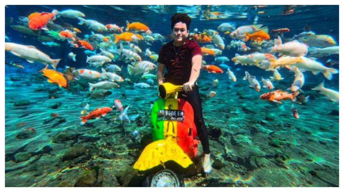 FOTO UMBUL PONGGOK: Begini Keindahan Foto di Bawah Kolam Umbul Ponggok Klaten