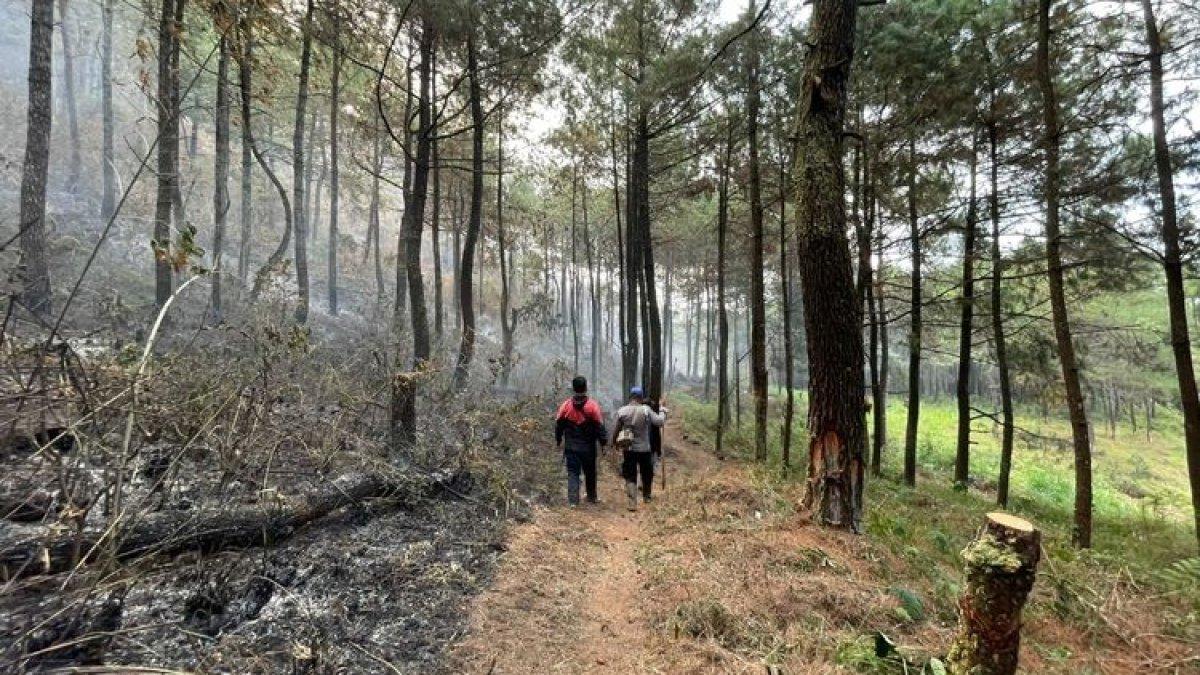 Petugas gabungan dari BPBD Kabupaten Magetan, Kabupaten Madiun, dan BPBD Provinsi Jawa Timur, TNI dan Polri membuka pos di Desa Ngrayudan.()