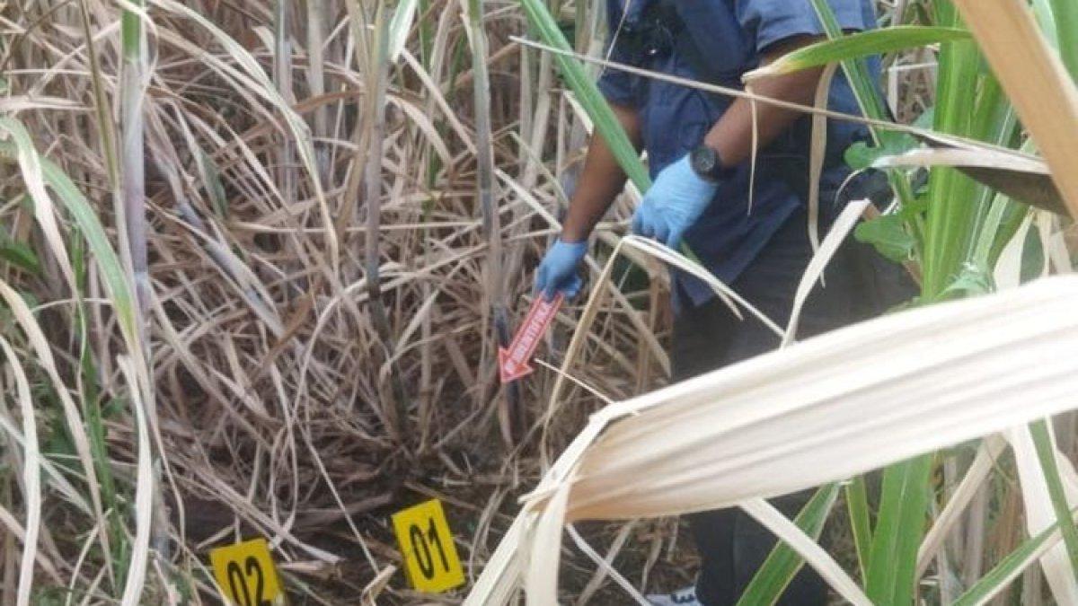 Foto: Penemuam mayat misterius di tengah pahan tebu Desa Banyuputih, Kecamatan Banyuputih, Kabupaten Situbondo, Provinsi Jawa Timur.