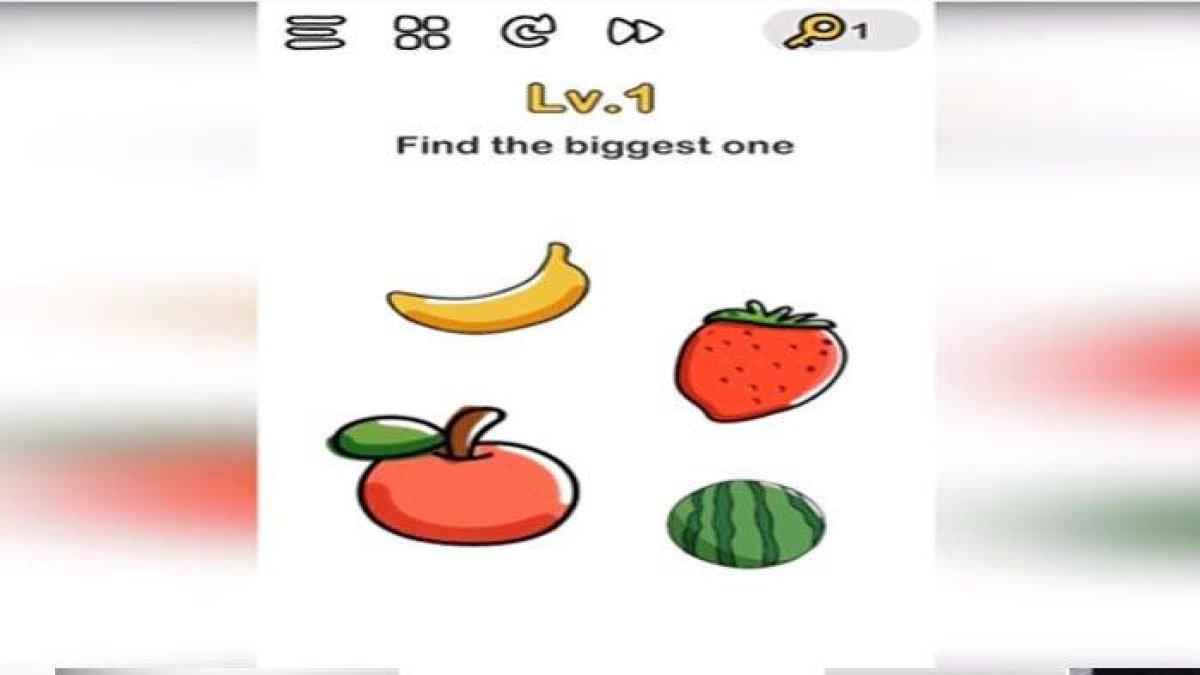 Ini dia! kumpulan kunci jawaban Game Brain Out Level 1-185 dilengkapi dengan penjelasan lengkap dan detail.