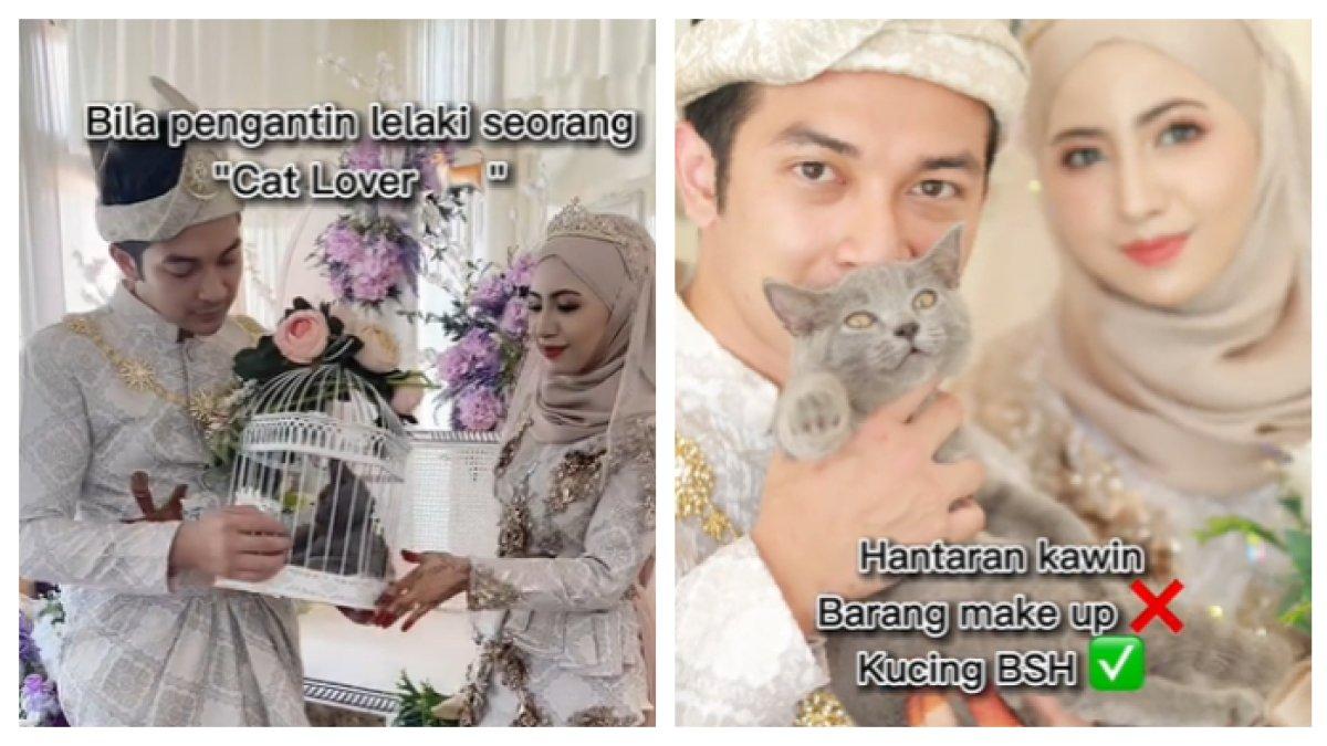 Tangkapan layar video viral pria beri seserahan ke calon istri berupa kucing langka.
