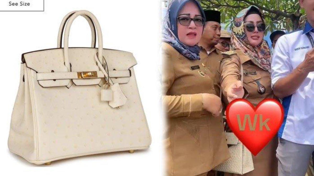 Harga tas kepala desa (kades) Bogor, Wiwin Komalasari, saat demo minta jabatan 27 tahun mencapai ratusan juta.