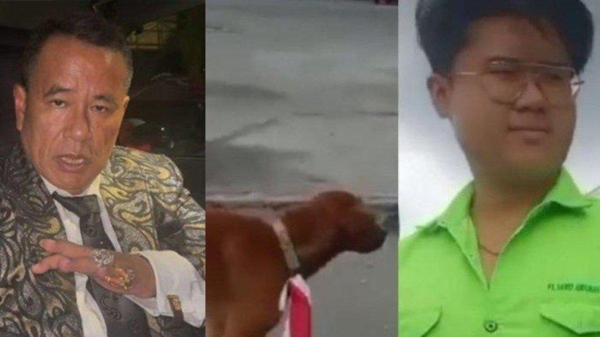 Hotman Paris soroti kasus pria pasang bendera di leher anjing