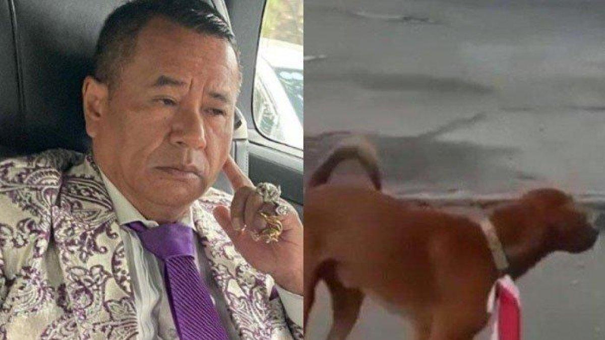 Hotman Paris soroti kasus pria pasang bendera di leher anjing