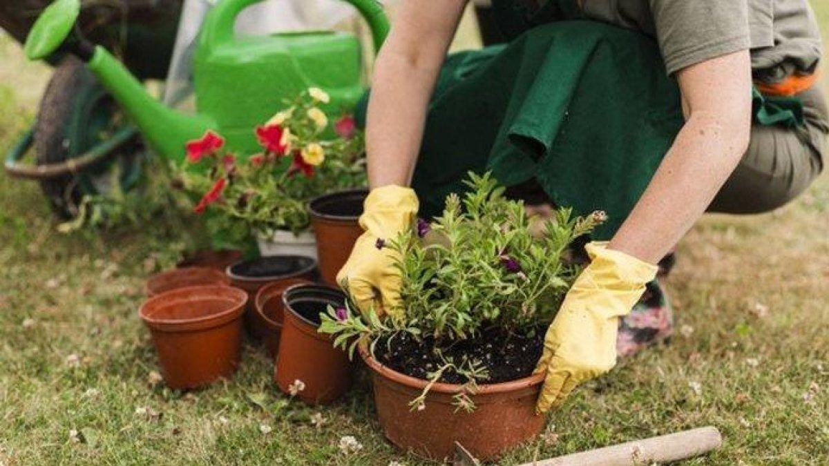 Ilustrasi berkebun