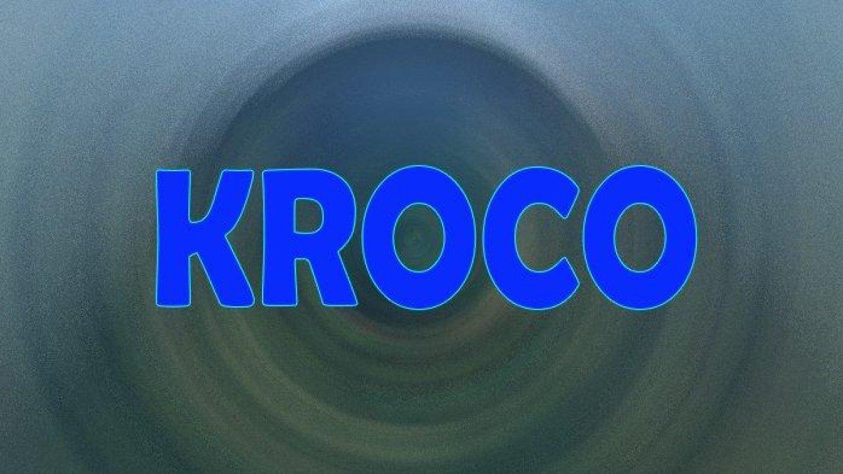 Apa Itu Kroco Dalam Bahasa Gaul, Cek Arti Kroco Dalam Kamus Bahasa Indonesia