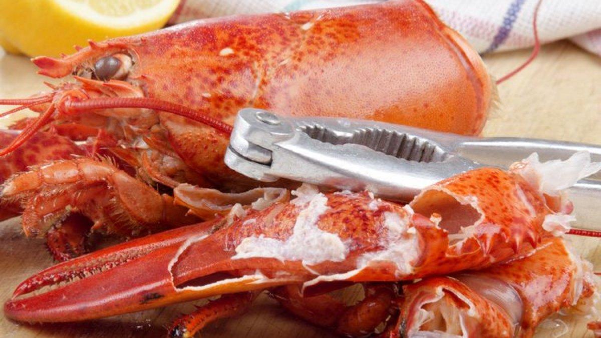 Ilustrasi lobster kesukaan Jin BTS