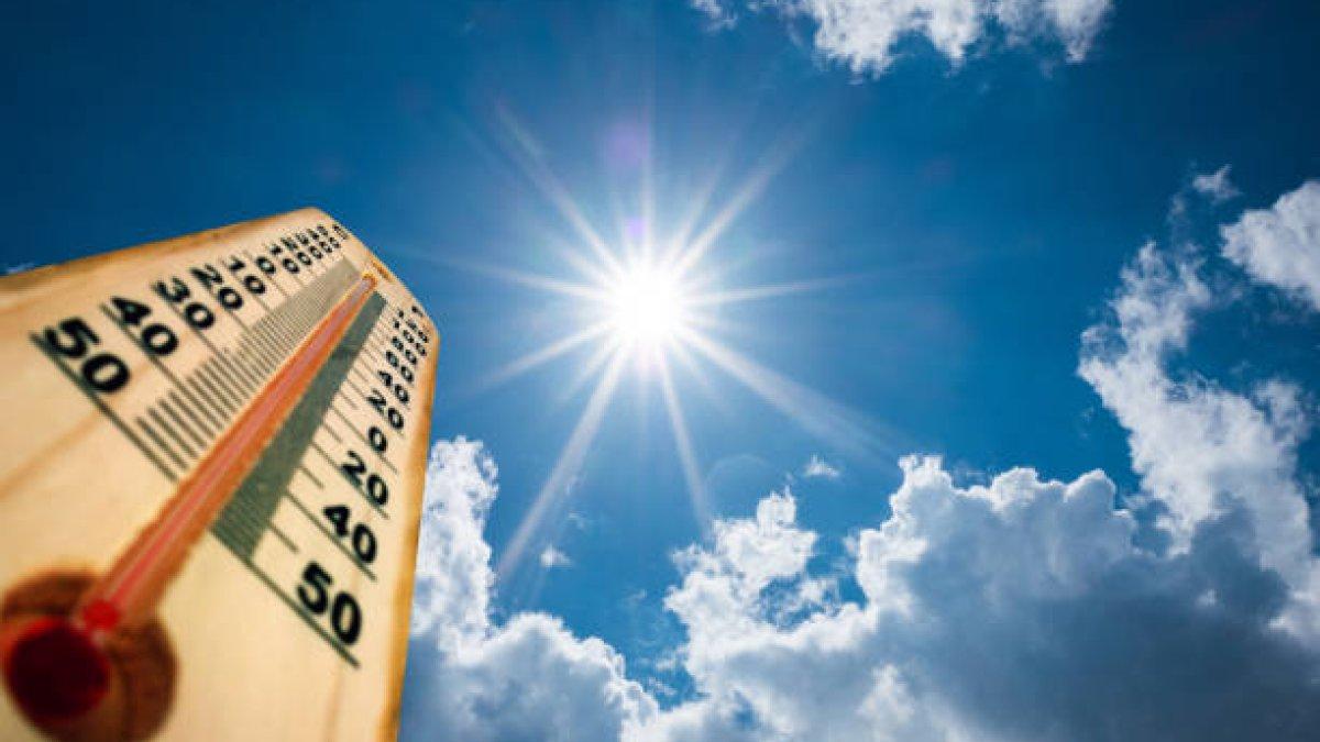 Inilah arti istilah heatwave belakangan ini seliweran di medsos.