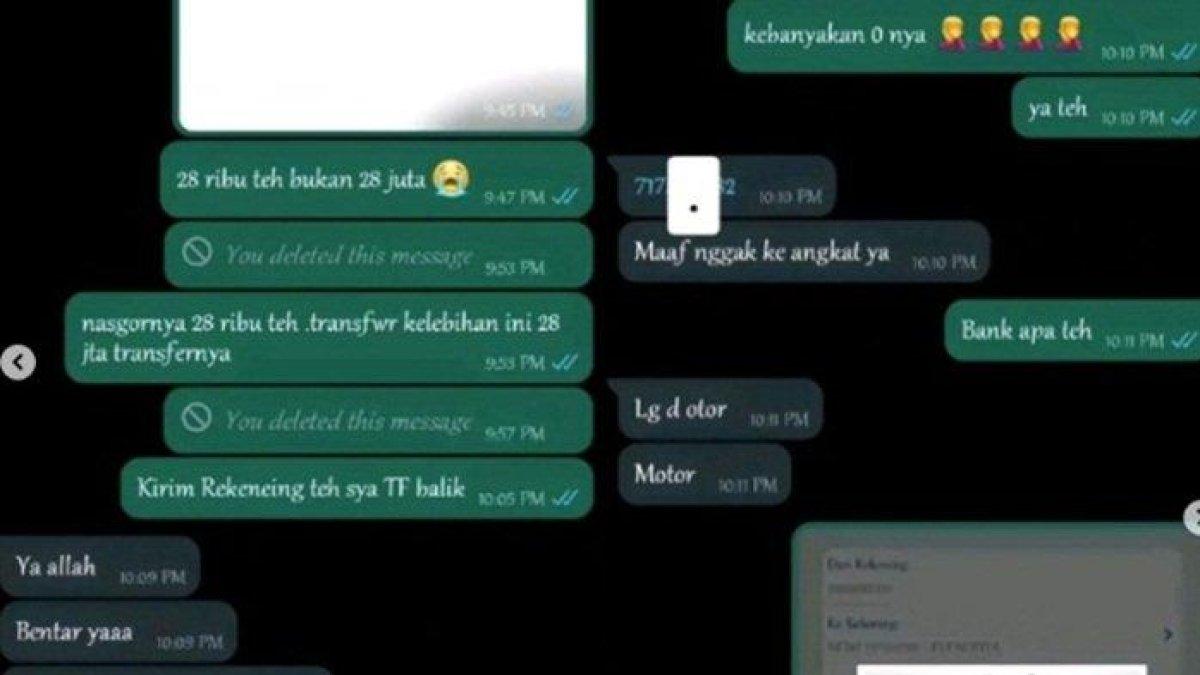 Isi chat penjual nasi goreng dengan pembeli viral di TF Rp28 juta.