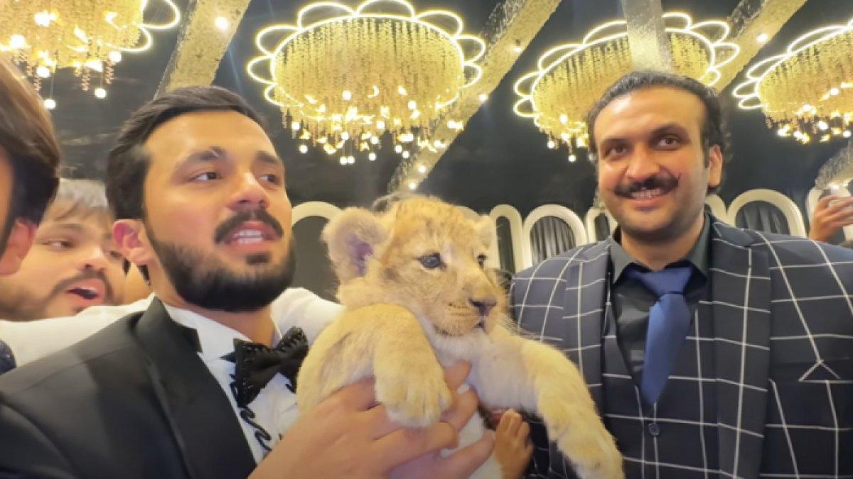 Pakistan Rasab Sosok Rajab Butt, YouTuber Pakistan Gelar Pesta Pernikahan Seminggu ...