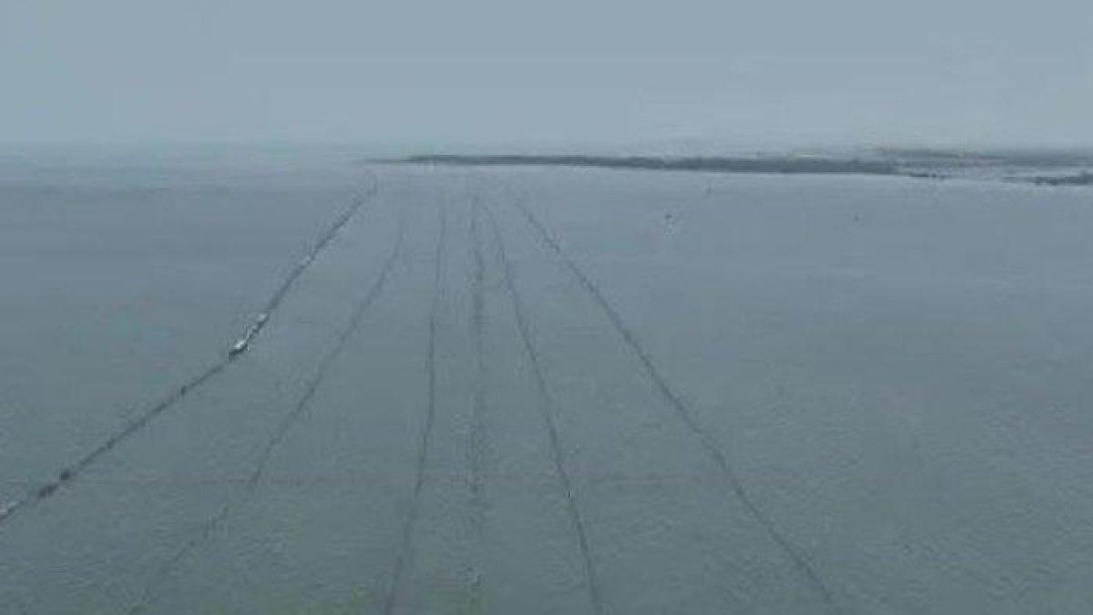Keberadaaan pagar bambu di perairan Kabupaten Tangerang, Banten hingga kini masih menyisakan teka-teki.