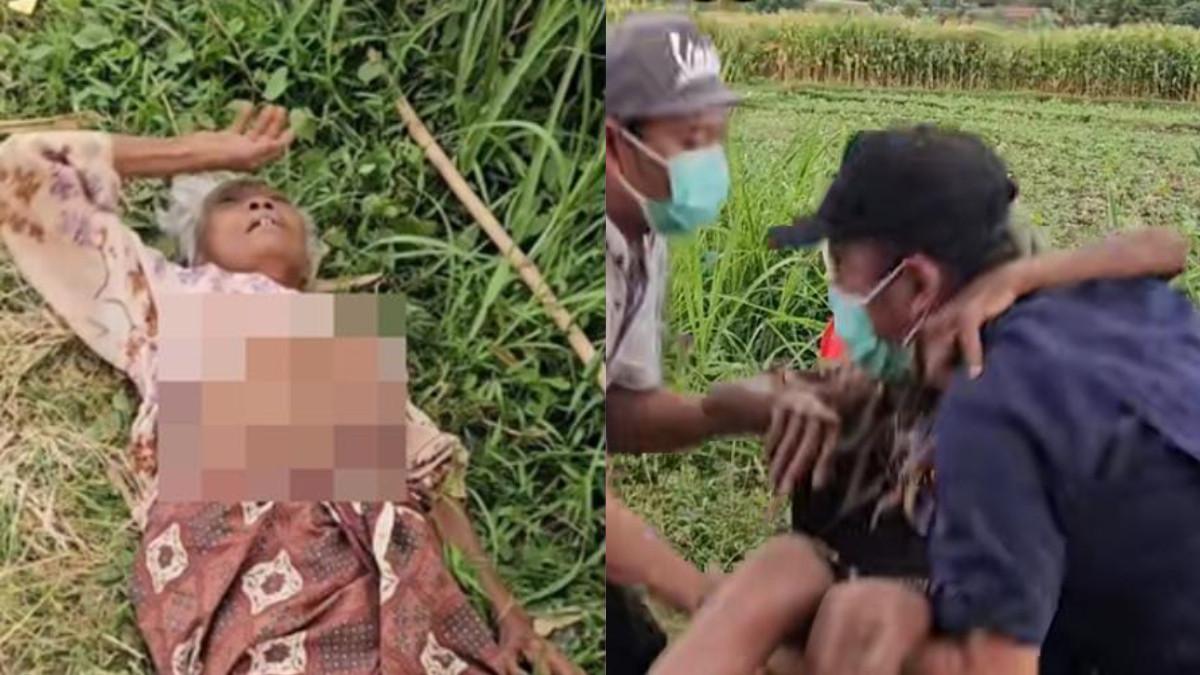 ANAK BUANG IBU - Keberadaan Mbah Nortaji warga Dusun Talang, RT 004 RW 003, Desa Jambangan, Kecamatan Besuk, Probolinggo setelah dibuang anaknya di pinggir jalan. Foto diolah dari Tiktok Ariefcamra 27 Juli 2025.