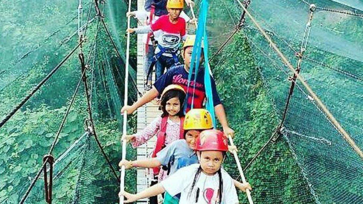 Keindahan Helena Sky Bridge, Bantimurung, Sulawesi Selatan, di atas habitat kupu-kupu.