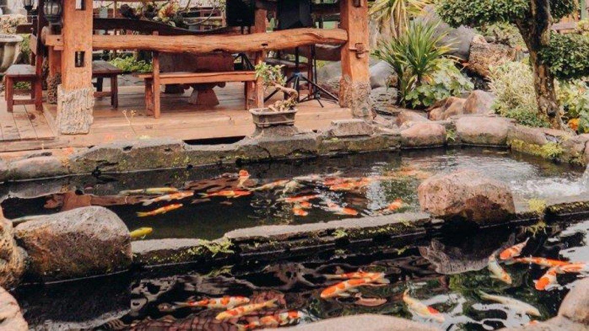 Koito Resto, tempat makan hidden gem di Klaten, Jawa Tengah.