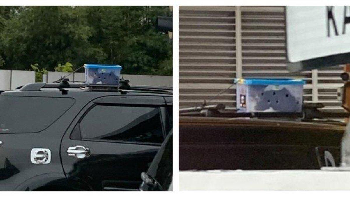 Kucing dibawa mudik pemiliknya, di masukkan di kontainer diikat di atap mobil