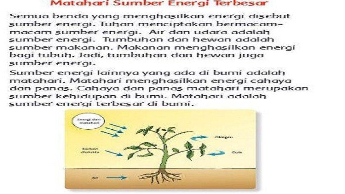ILUSTRASI KUNCI JAWABAN : Kunci Jawaban Buku Tematik Kelas 3 Tema 6 Halaman 3