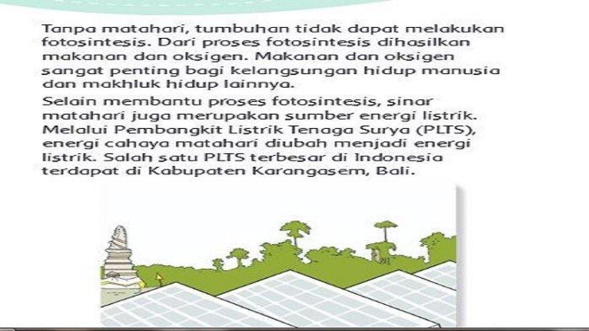 ILUSTRASI KUNCI JAWABAN : Kunci Jawaban Buku Tematik Kelas 3 Tema 6 Halaman 4