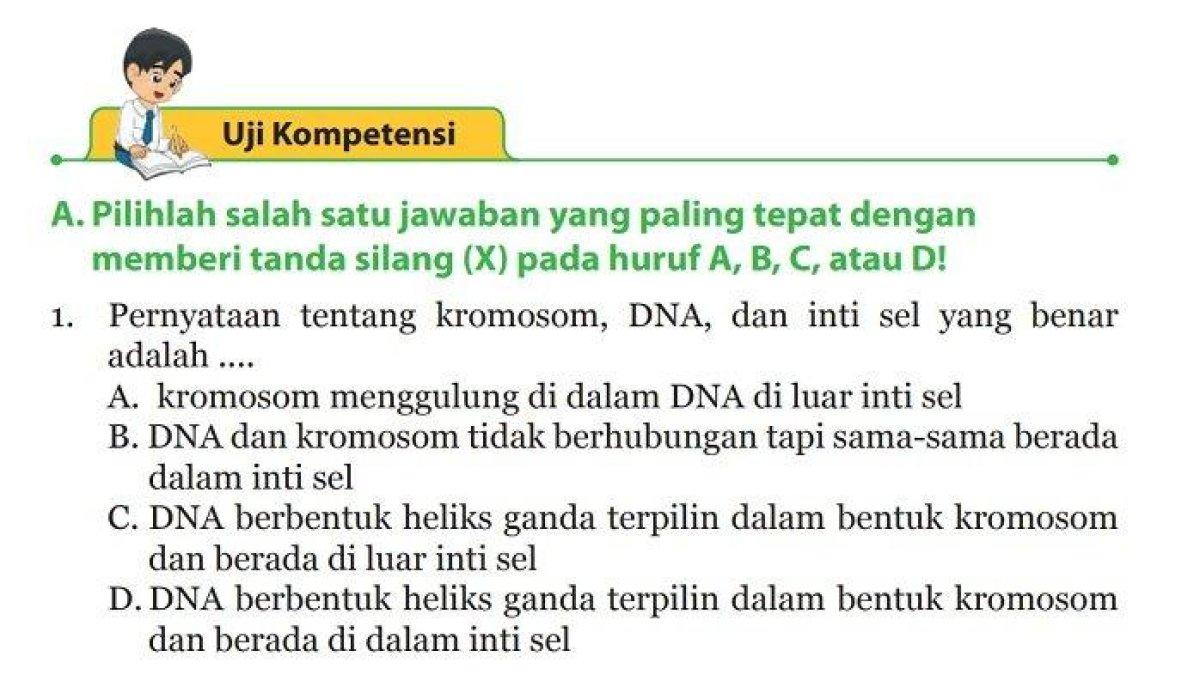 ILUSTRASI KUNCI JAWABAN : Kunci Jawaban IPA Kelas 9 SMP Halaman 157, 158 dan 159: Uji Kompetensi