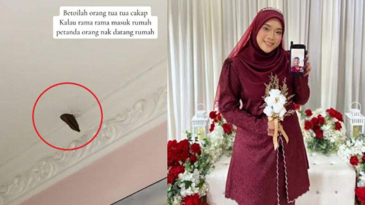 Kupu-kupu masuk rumah, gadis ini bahagia ada pertanda baik, keesokan harinya ternyata dilamar