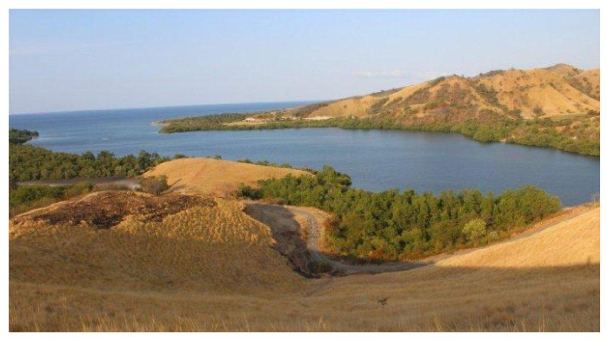 LAUTAN BUKIT FLORES - Pesona Bukit Cinta di Pulau Flores, NTT, menyuguhkan lanskap Laut Flores yang indah, perbukitan hijau, pohon bakau berjejer, serta jalanan meliuk yang memukau.