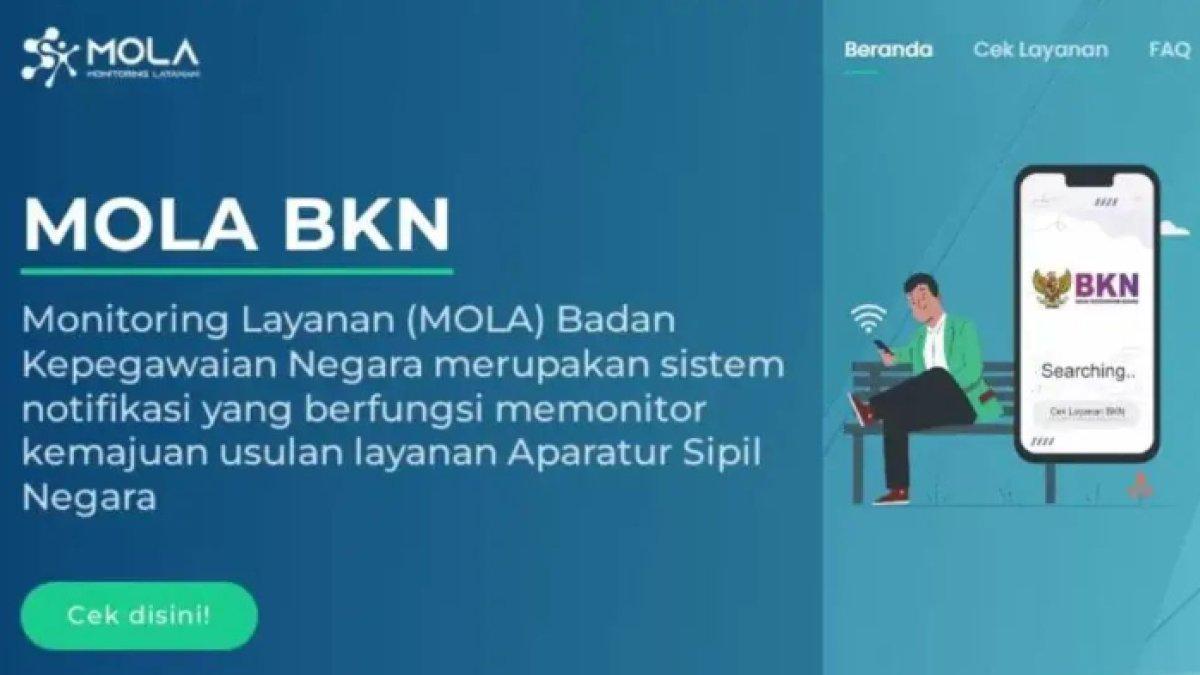 MOLA BKN 2025,- Cara mudah cek progres penetapan Nomor Induk Pegawai (NIP) PPPK dan status Aparatur Sipil Negara (ASN) di MOLA BKN RI.